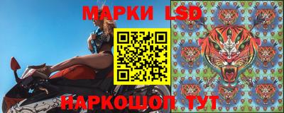 стафф Кандалакша