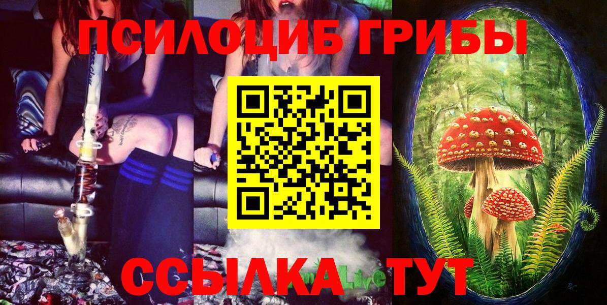 Псилоцибиновые грибы мицелий  Вход с VPN  купить наркотик  Красный Сулин 
