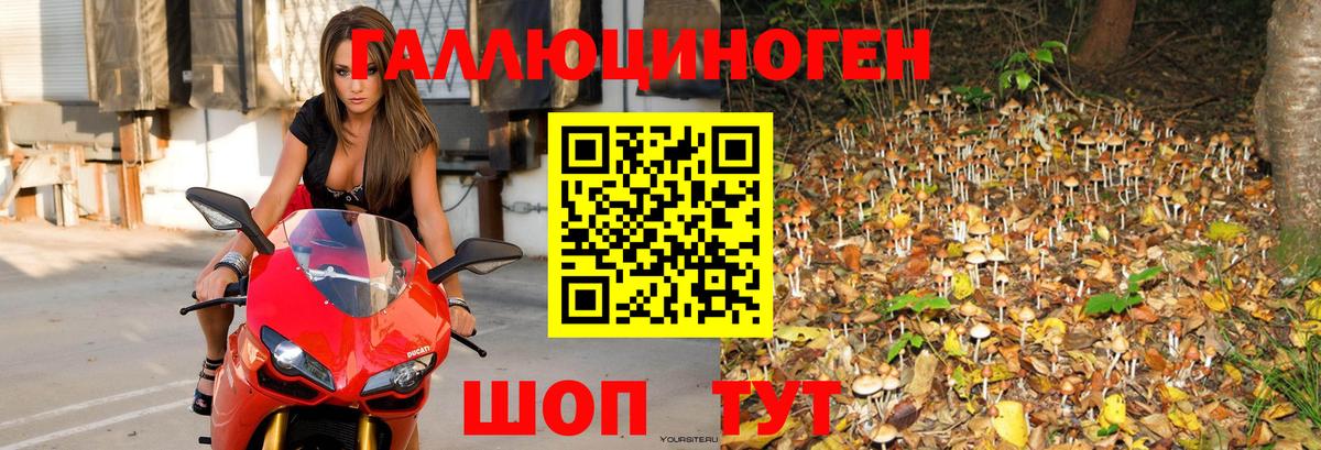 Псилоцибиновые грибы мухоморы Красный Сулин